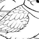 Piping plover