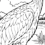 Sandhill crane