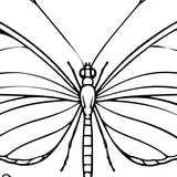 Zebra longwing