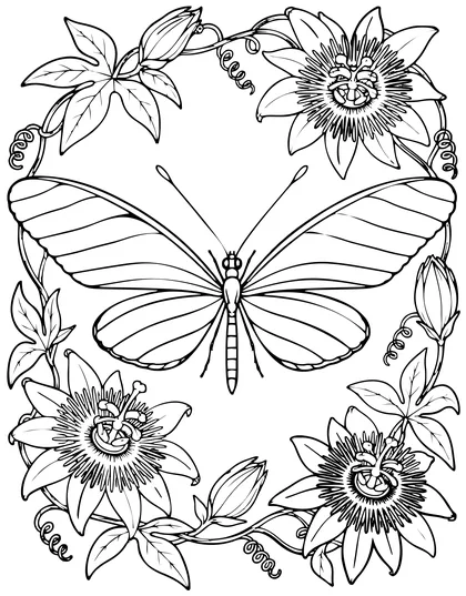 Zebra longwing coloring page